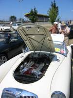 mga_moteur_twincam. Cliquez ici pour voir l'image en plus grand format, Photo J. Boly